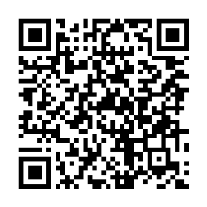 Link to your fundraiser QRCode - Fundraising