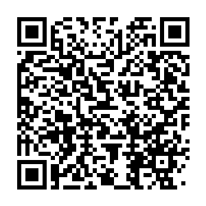Link to your fundraiser QRCode - Fundraising