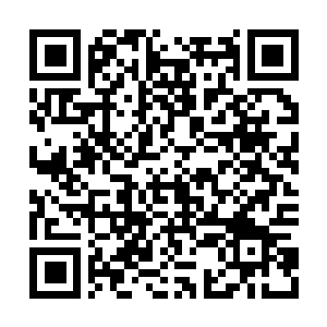 Link to your fundraiser QRCode - Fundraising