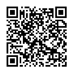 Link to your fundraiser QRCode - Fundraising