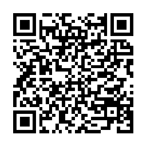 Link to your fundraiser QRCode - Fundraising