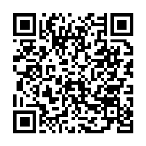 Link to your fundraiser QRCode - Fundraising