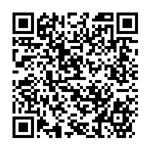 Link to your fundraiser QRCode - Fundraising