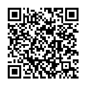 Link to your fundraiser QRCode - Fundraising