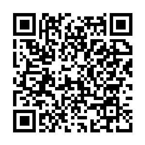Link to your fundraiser QRCode - Fundraising