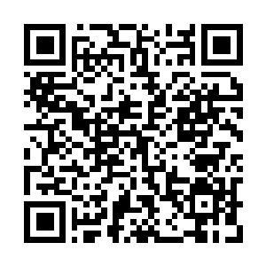 Link to your fundraiser QRCode - Fundraising