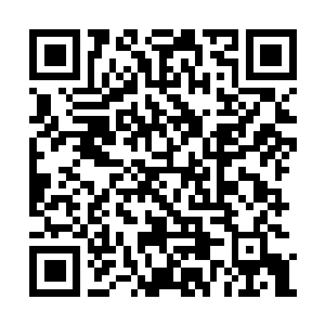 Link to your fundraiser QRCode - Fundraising