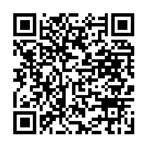 Link to your fundraiser QRCode - Fundraising
