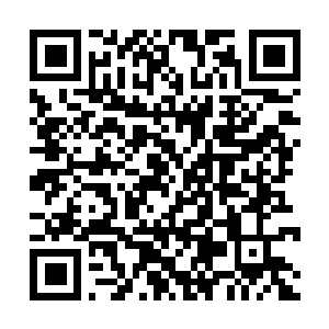 Link to your fundraiser QRCode - Fundraising
