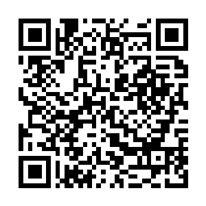 Link to your fundraiser QRCode - Fundraising