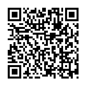 Link to your fundraiser QRCode - Fundraising