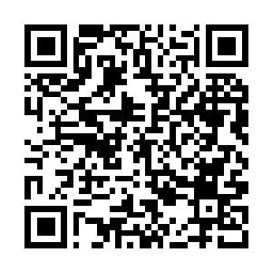 Link to your fundraiser QRCode - Fundraising