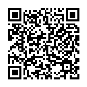 Link to your fundraiser QRCode - Fundraising