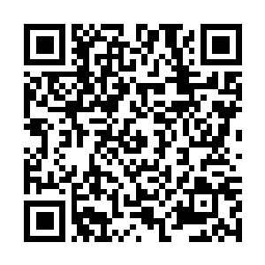 Link to your fundraiser QRCode - Fundraising