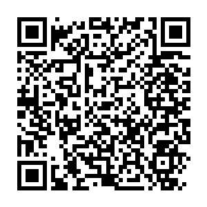 Link to your fundraiser QRCode - Fundraising