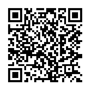 Link to your fundraiser QRCode - Fundraising