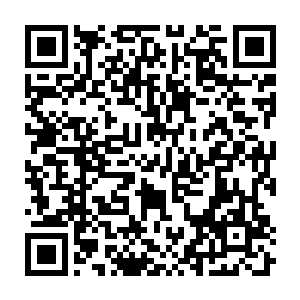 Link to your fundraiser QRCode - Fundraising