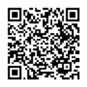 Link to your fundraiser QRCode - Fundraising
