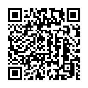 Link to your fundraiser QRCode - Fundraising