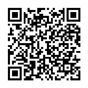Link to your fundraiser QRCode - Fundraising