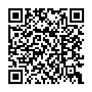 Link to your fundraiser QRCode - Fundraising