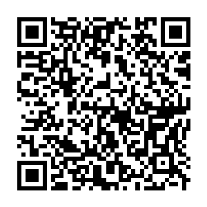 Link to your fundraiser QRCode - Fundraising