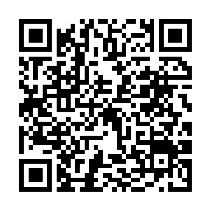 Link to your fundraiser QRCode - Fundraising