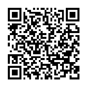 Link to your fundraiser QRCode - Fundraising