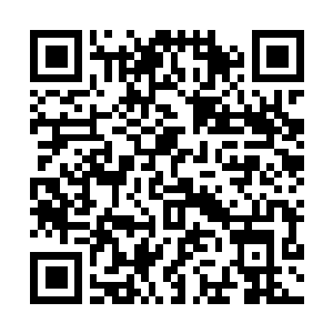 Link to your fundraiser QRCode - Fundraising
