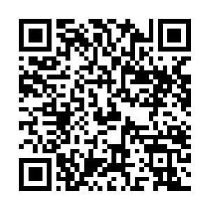 Link to your fundraiser QRCode - Fundraising