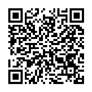 Link to your fundraiser QRCode - Fundraising