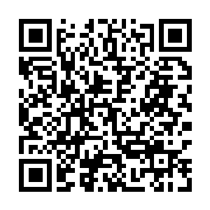 Link to your fundraiser QRCode - Fundraising