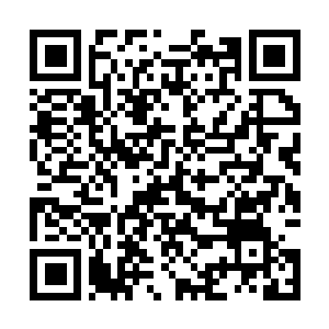 Link to your fundraiser QRCode - Fundraising
