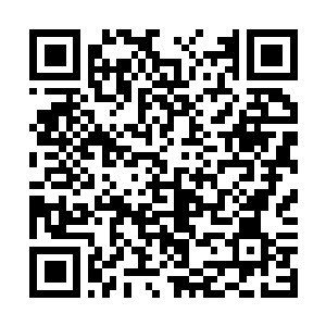 Link to your fundraiser QRCode - Fundraising