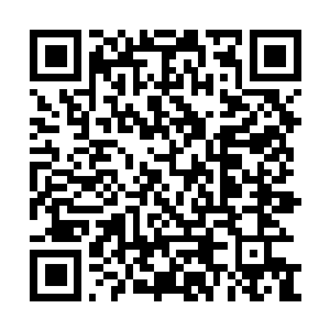 Link to your fundraiser QRCode - Fundraising