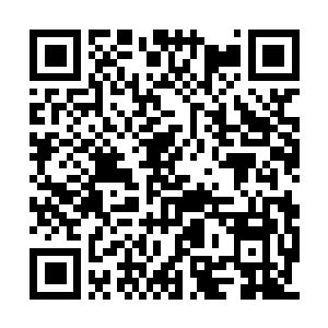 Link to your fundraiser QRCode - Fundraising