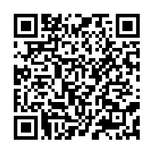 Link to your fundraiser QRCode - Fundraising