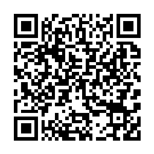Link to your fundraiser QRCode - Fundraising