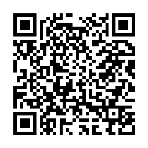 Link to your fundraiser QRCode - Fundraising