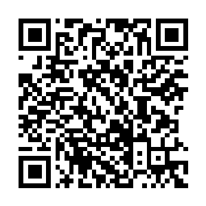 Link to your fundraiser QRCode - Fundraising