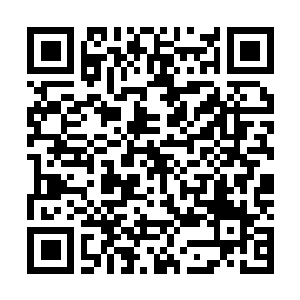 Link to your fundraiser QRCode - Fundraising