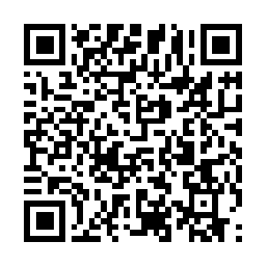 Link to your fundraiser QRCode - Fundraising