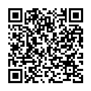 Link to your fundraiser QRCode - Fundraising