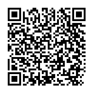 Link to your fundraiser QRCode - Fundraising