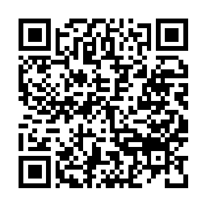 Link to your fundraiser QRCode - Fundraising