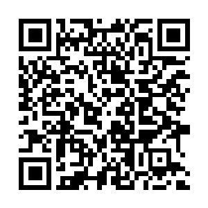 Link to your fundraiser QRCode - Fundraising
