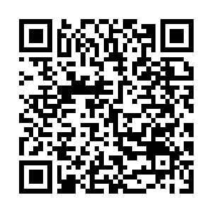 Link to your fundraiser QRCode - Fundraising