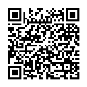Link to your fundraiser QRCode - Fundraising