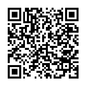 Link to your fundraiser QRCode - Fundraising