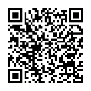 Link to your fundraiser QRCode - Fundraising